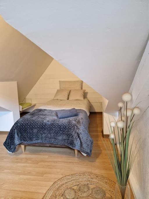Le Petit Loft, Mulhouse Centre Leilighet Eksteriør bilde