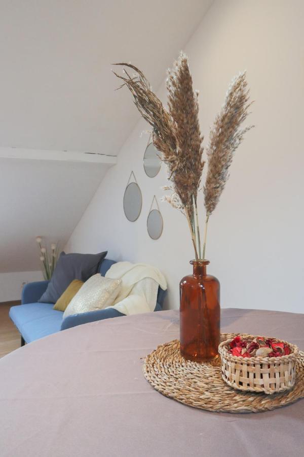Le Petit Loft, Mulhouse Centre Leilighet Eksteriør bilde