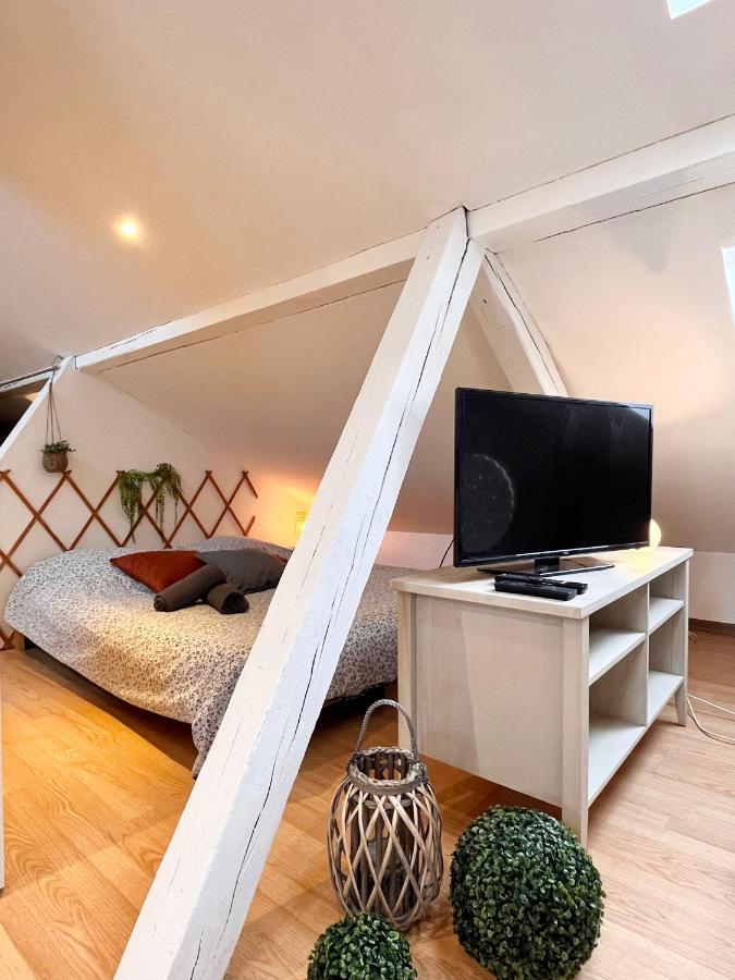 Le Petit Loft, Mulhouse Centre Leilighet Eksteriør bilde